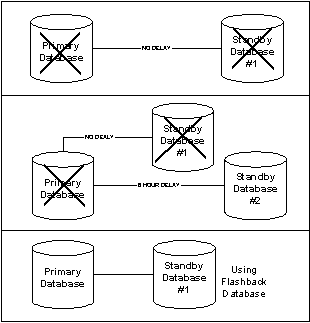 Figure 12.3 Using Flashback Database in a Standby Database Configuration
