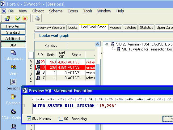 The SQL Preview option presents any proposed action as SQL, which may be modified before execution, or canceled.