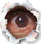 /forum/fa/3252/0/