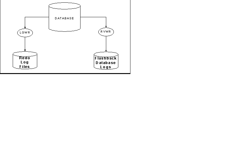 RVWR Background process and Flashback Database Logs.png